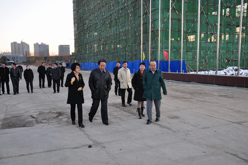 乔世波总经理（右五）由华润三九总裁宋江清（右一）参观施工现场